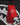 Sprayground - Noir Fang Tote - Clique Apparel