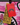 Sprayground - Susie Rugrats Flowers Tote - Clique Apparel