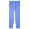 BBC - Equinox Jogger - Blue - Clique Apparel