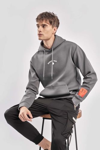 RV- Paris Hoodie Grey - Clique Apparel