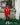 Mixed Emotion- Backyard Nylon Shirt - Red - Clique Apparel
